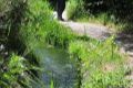 Acequia del Albaricoque o Acequia de la Estrella