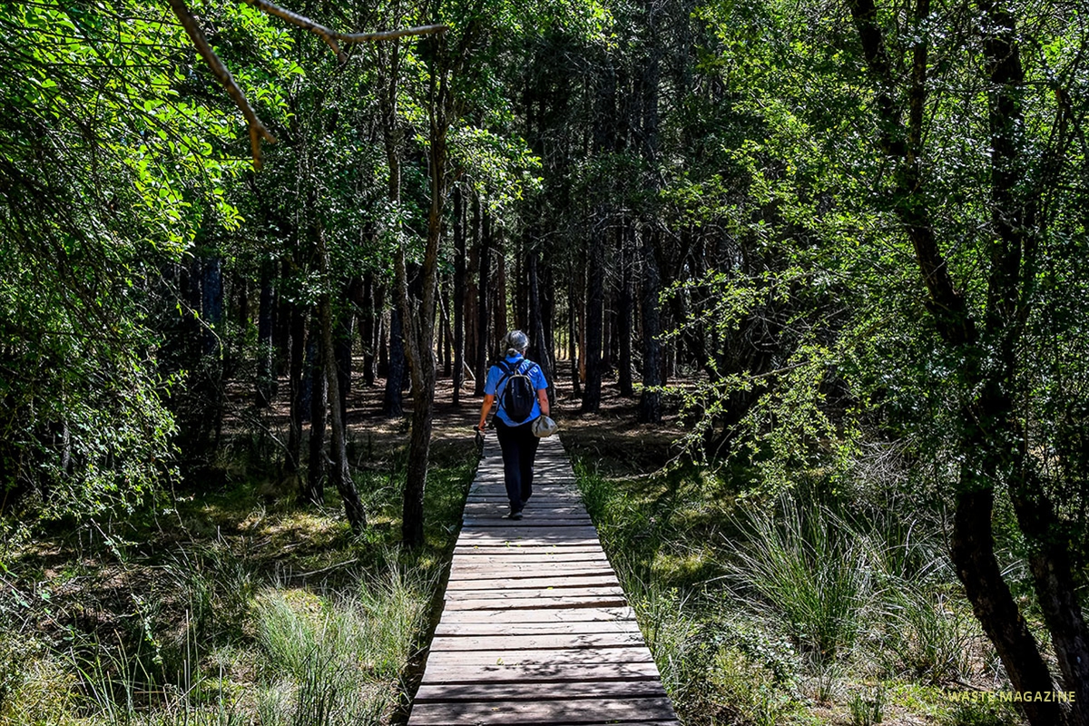 acequia-del-fardes-58