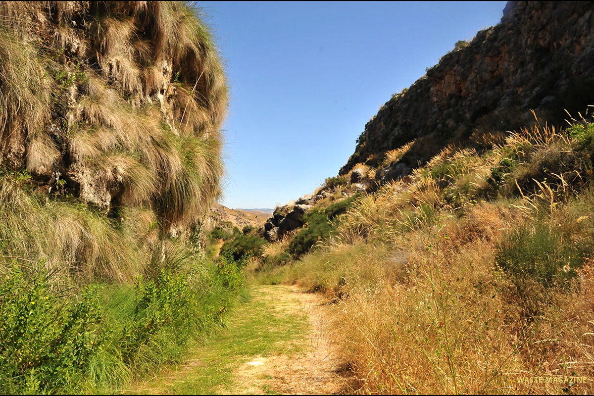 acequiiadeltoril-70