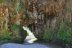 acequia-el-toril01