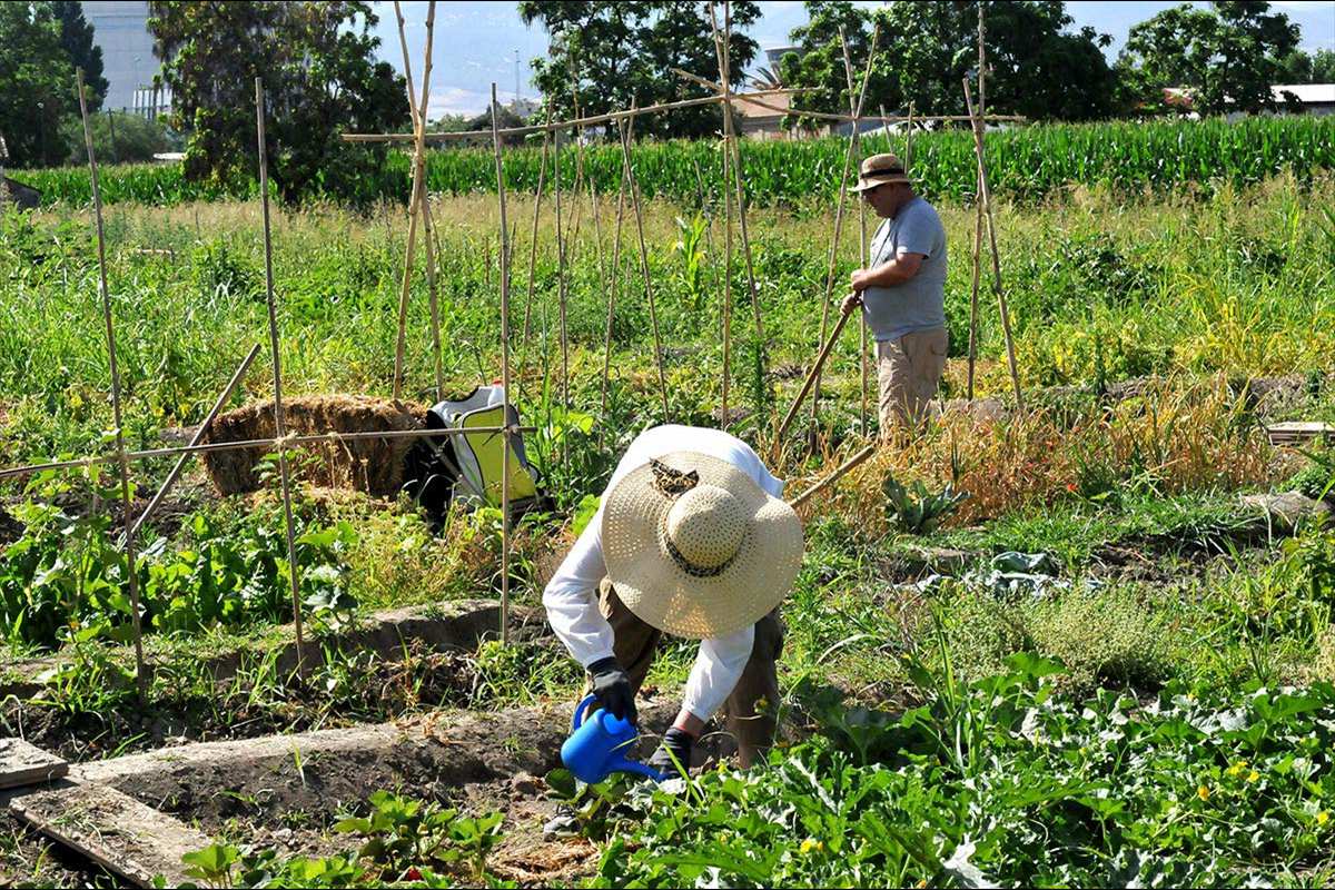 acequia-gorda-02