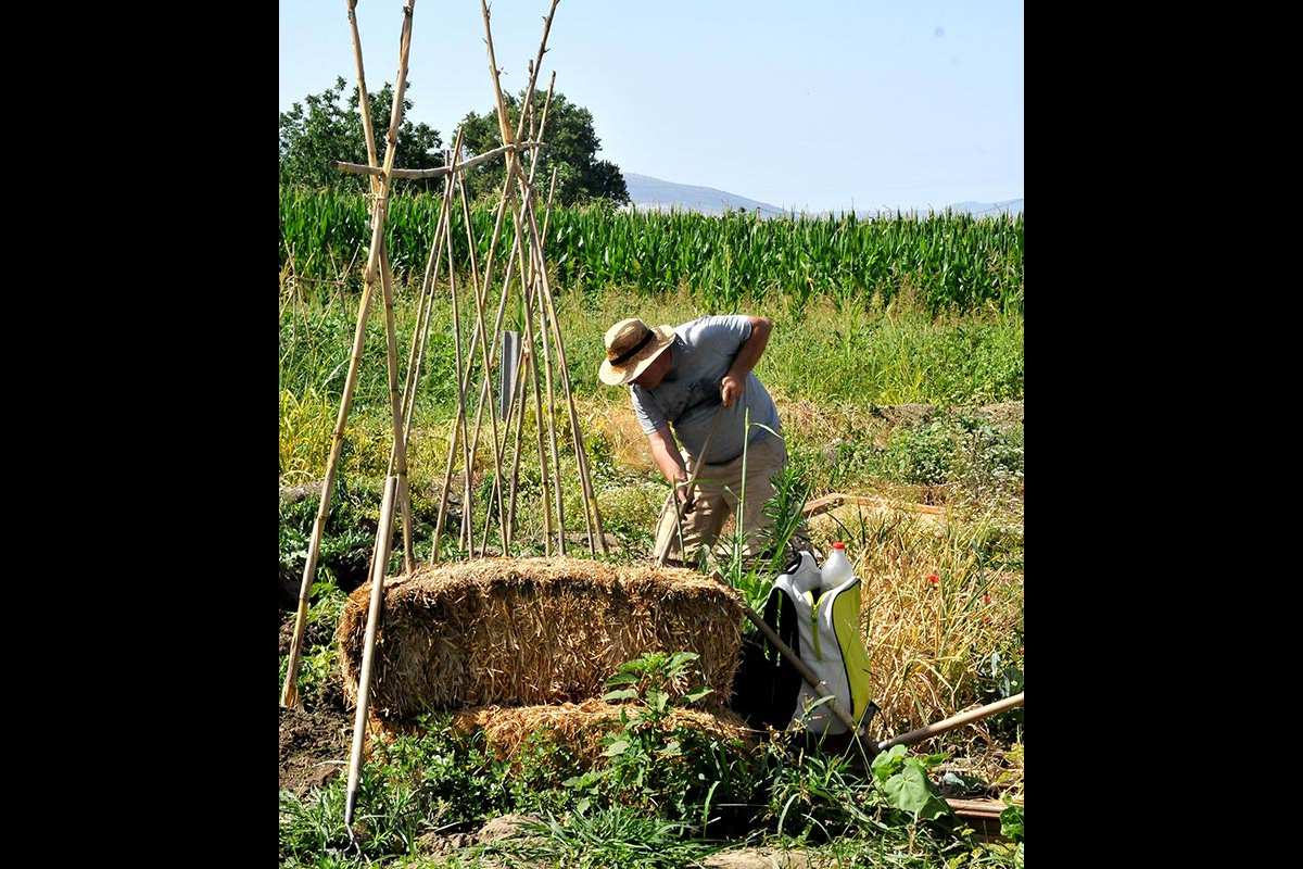 acequia-gorda-03