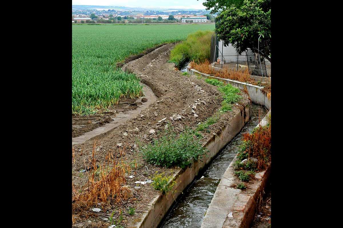 acequia-gorda-07