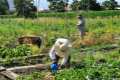 acequia-gorda-02