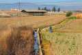 acequia-gorda-06