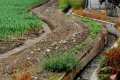 acequia-gorda-07