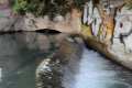acequia-gorda-15