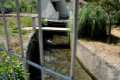 acequia-gorda-17
