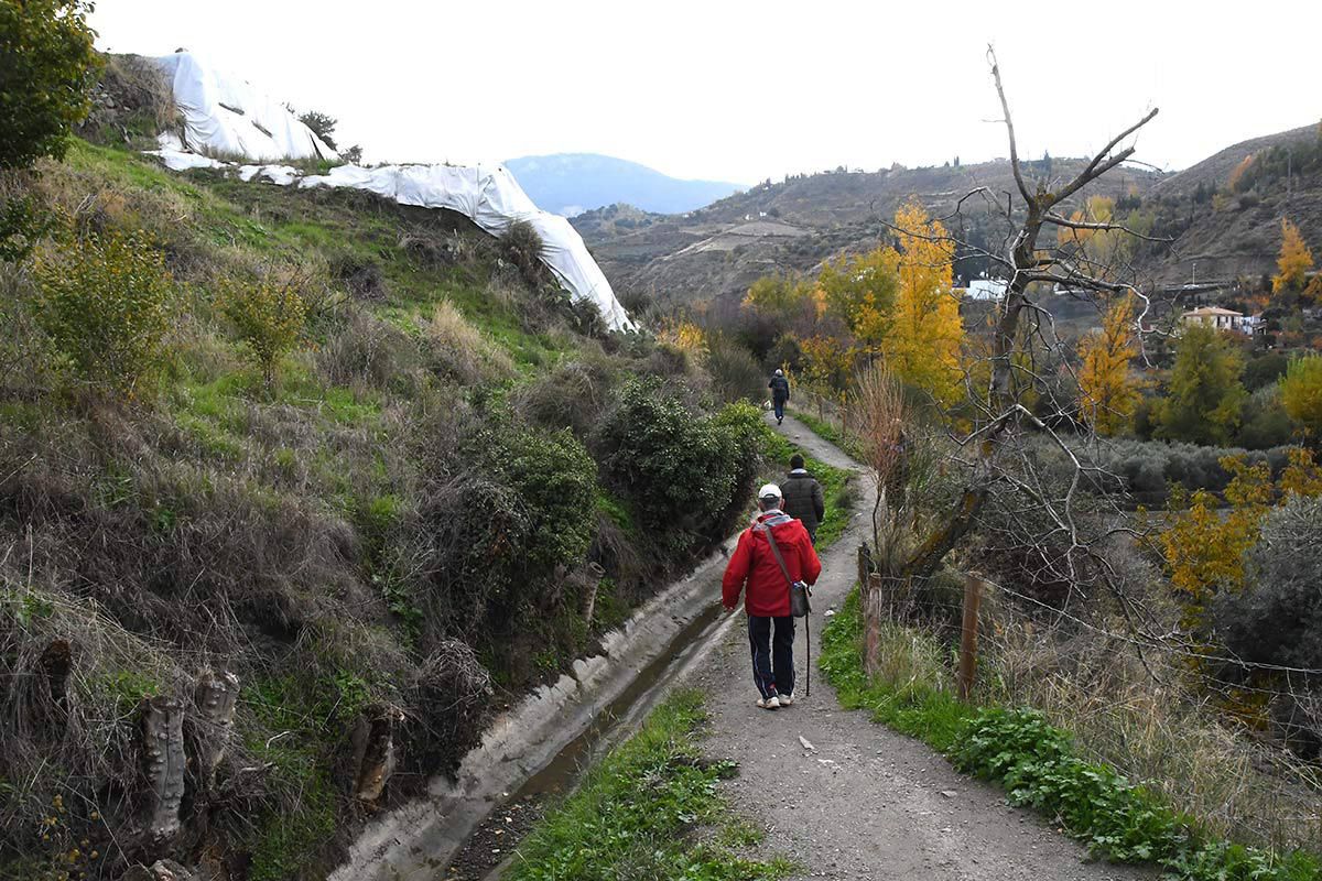acequia-albaricoque-otono-013