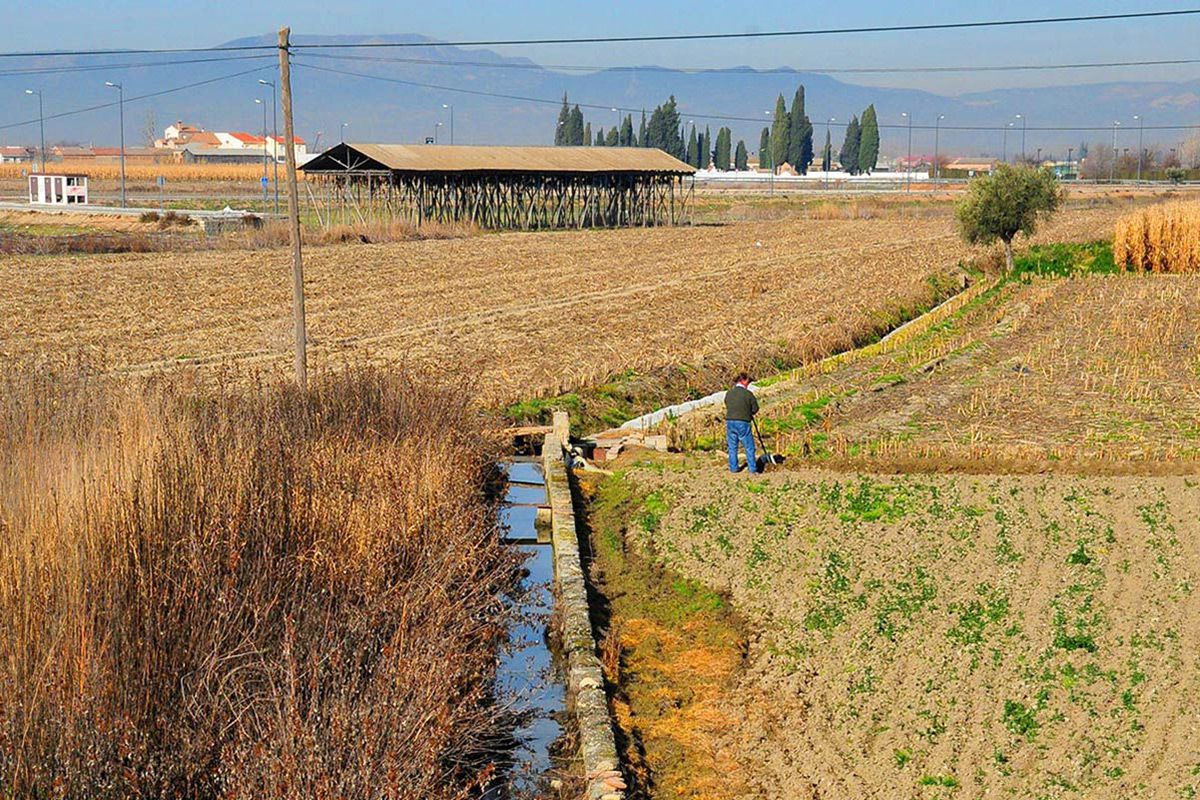 acequia-gorda-06