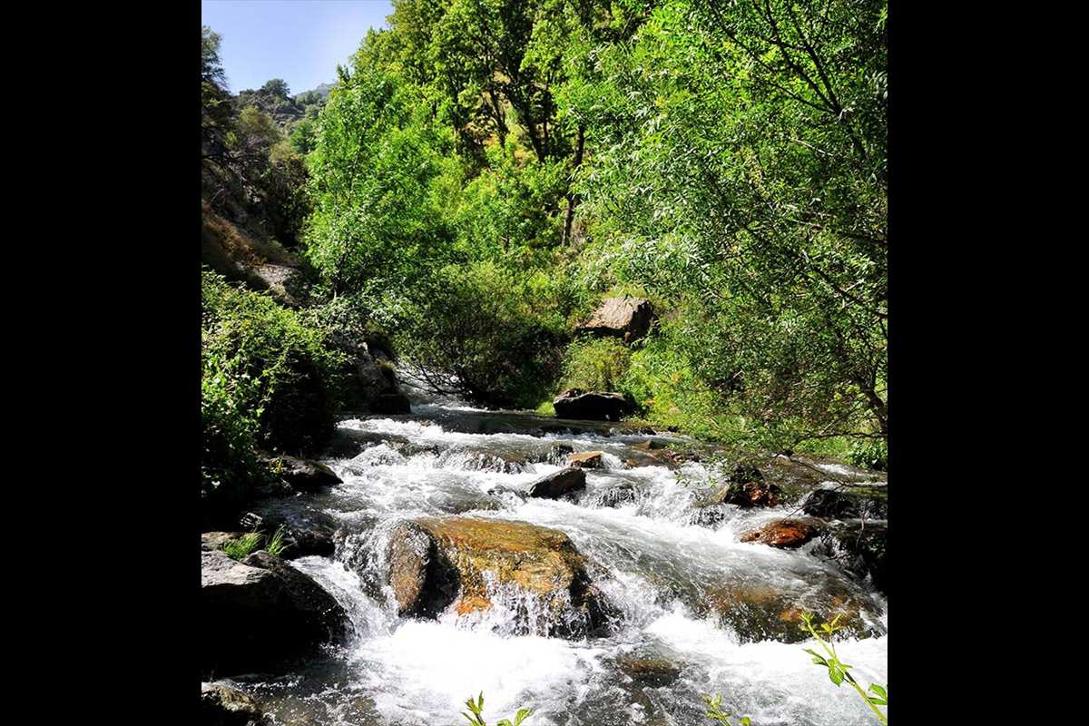 Alamedas de alta montaña, río San Juan, Sierra Nevada
