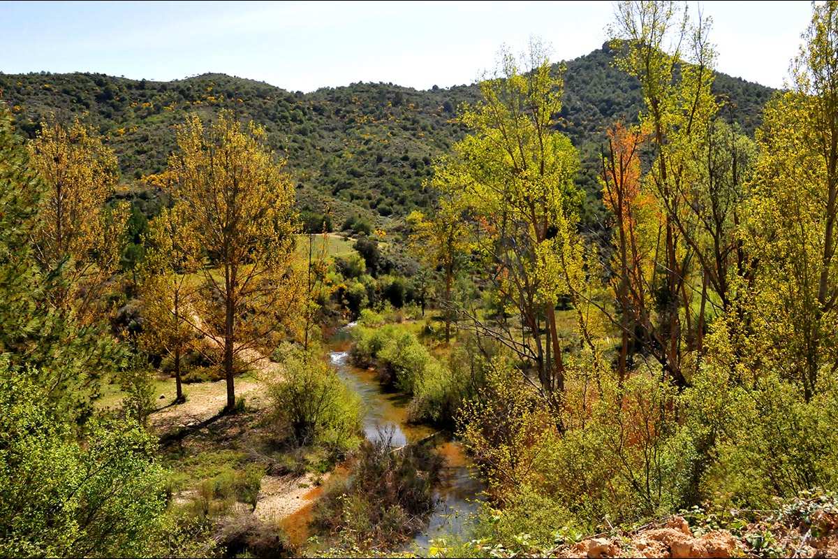 Río Cacín