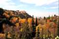 Valle del Darro, alamedas bajo la Alhambra