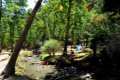 Área recreativa del río Dílar010