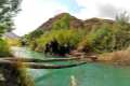 álamos en el río Guadiana Menor