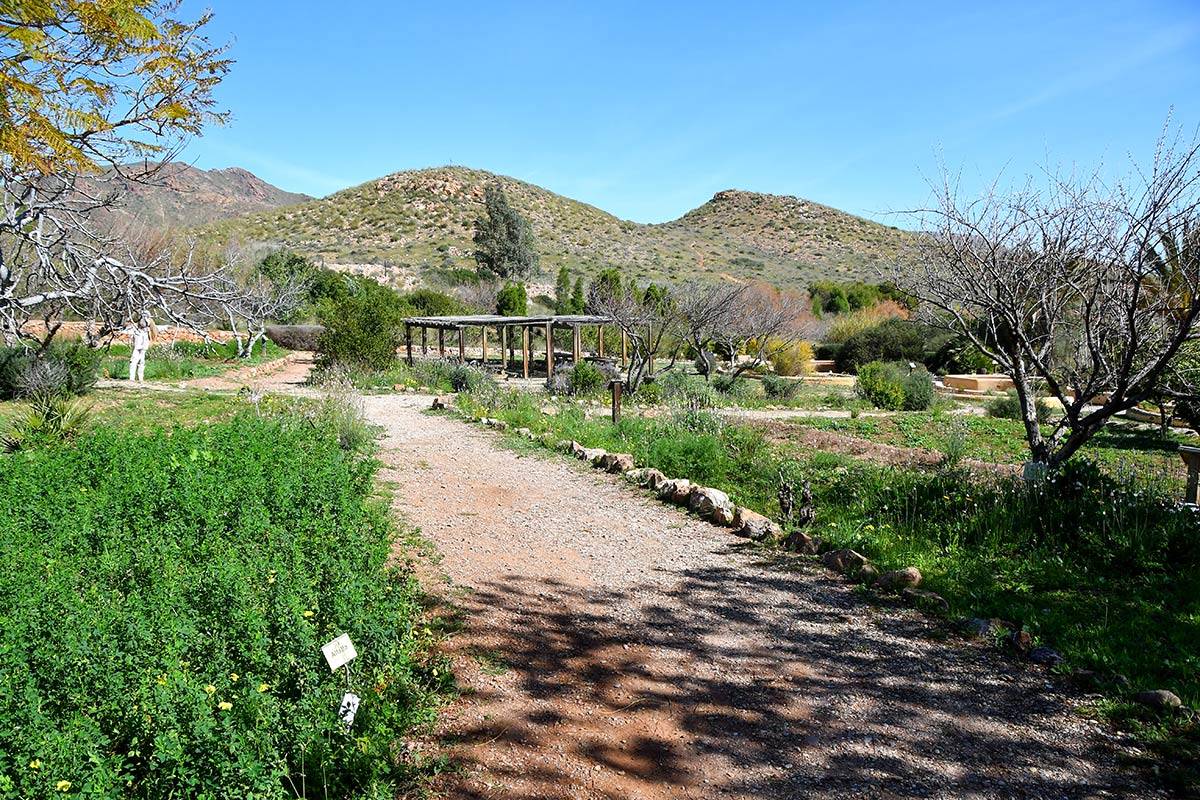 Jardin_Botanico_Albardinar-02