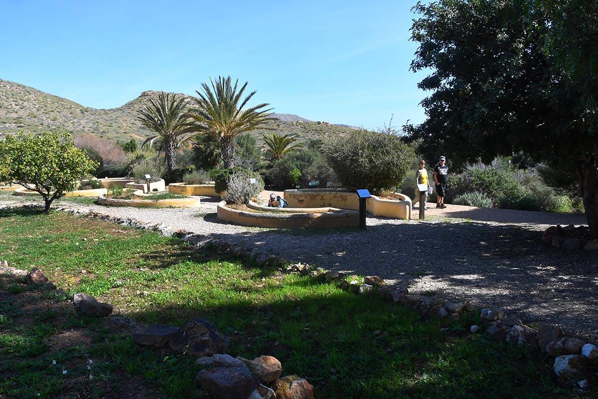 Jardin_Botanico_Albardinar-04