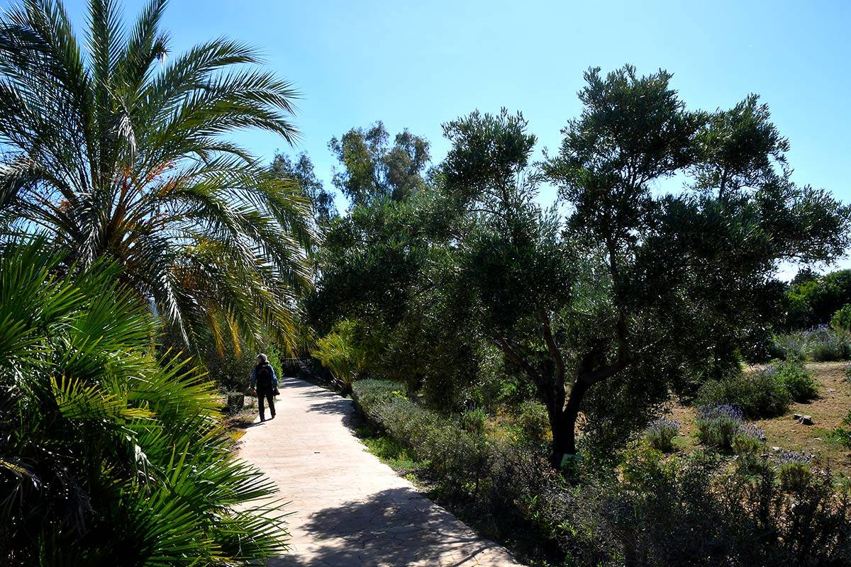 Jardin_Botanico_Albardinar-06
