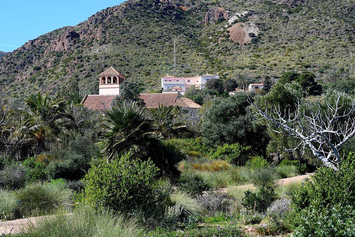 Jardin_Botanico_Albardinar-07
