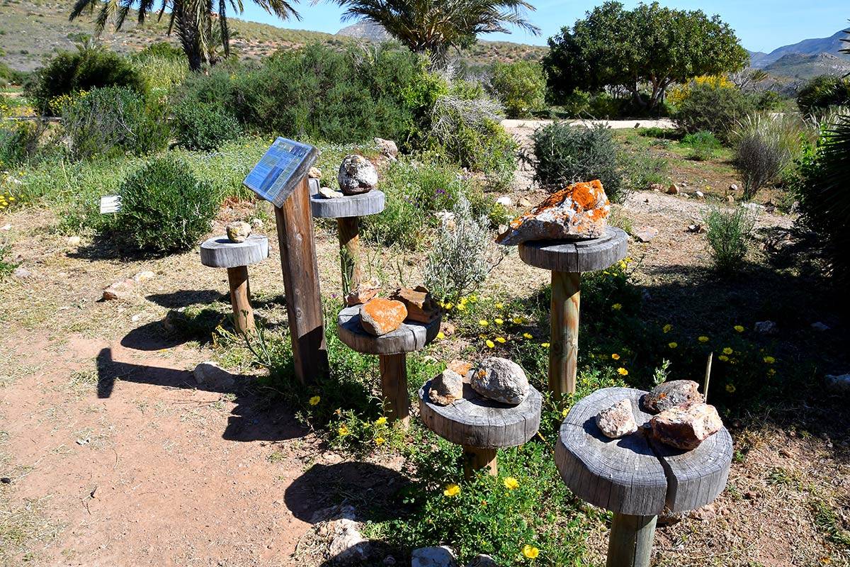 Jardin_Botanico_Albardinar-10