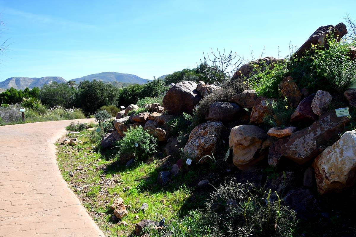Jardin_Botanico_Albardinar-11