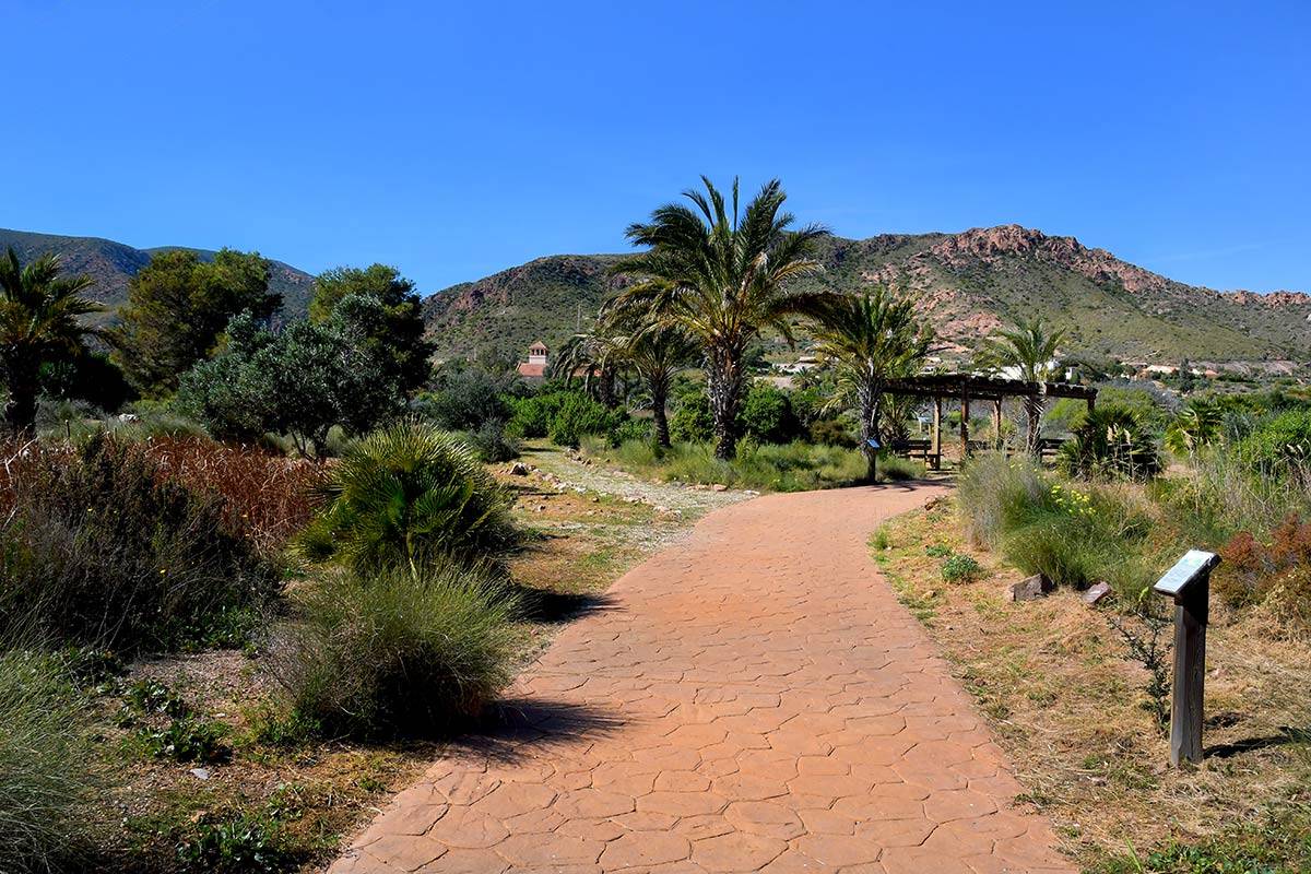 Jardin_Botanico_Albardinar-14