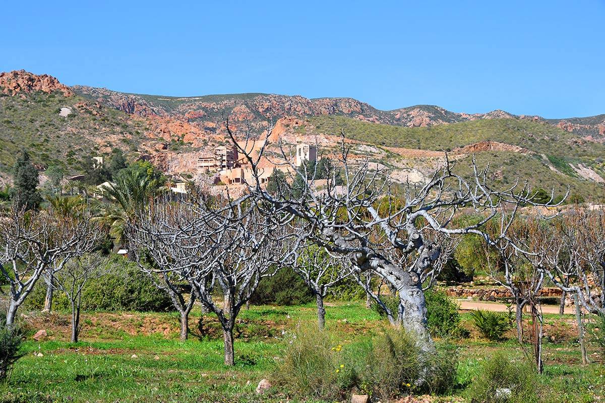 Jardin_Botanico_Albardinar-17