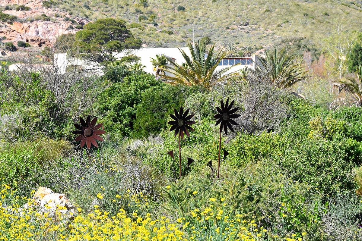 Jardin_Botanico_Albardinar-19
