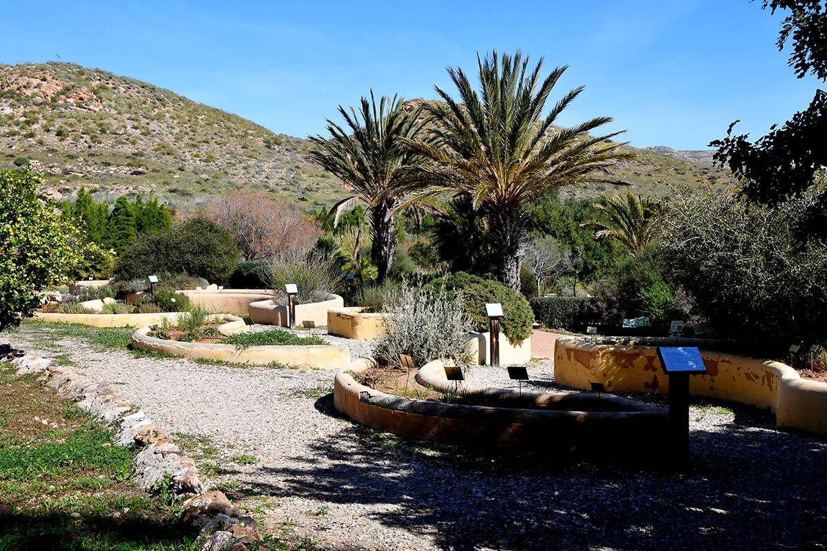 Jardin_Botanico_Albardinar-24