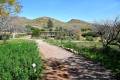 Jardin_Botanico_Albardinar-02