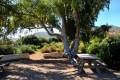 Jardin_Botanico_Albardinar-08
