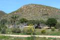 Jardin_Botanico_Albardinar-09