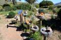 Jardin_Botanico_Albardinar-10