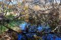 Jardin_Botanico_Albardinar-13