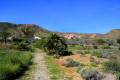 Jardin_Botanico_Albardinar-16