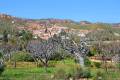 Jardin_Botanico_Albardinar-17