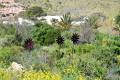 Jardin_Botanico_Albardinar-19
