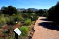 Jardin_Botanico_Albardinar-21