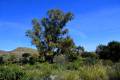 Jardin_Botanico_Albardinar-22