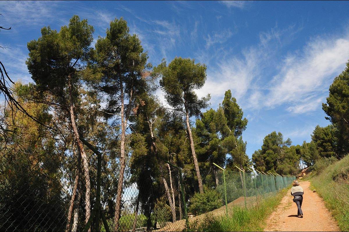albercones-alhambra-(10)