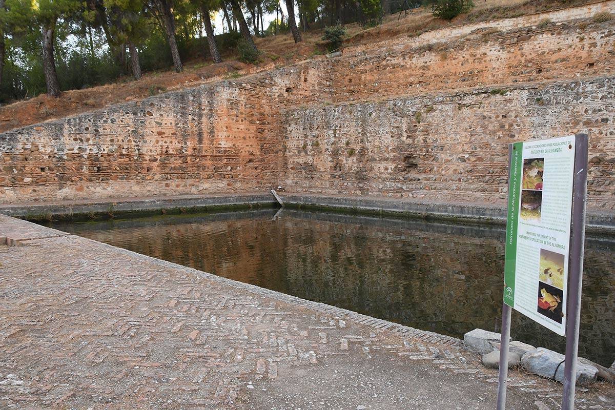 albercones-alhambra-(2)
