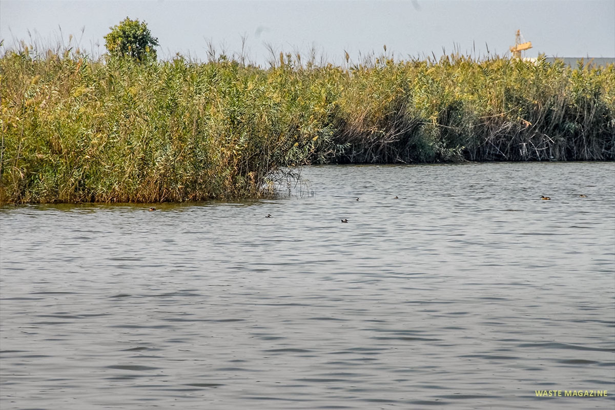 DSC_8250
