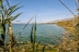 albufera-adra63