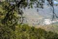 alcornocal-lujar-2015-01