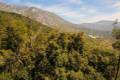 alcornocal-lujar-2015-04