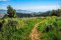 alcornocal-lujar-2015-09
