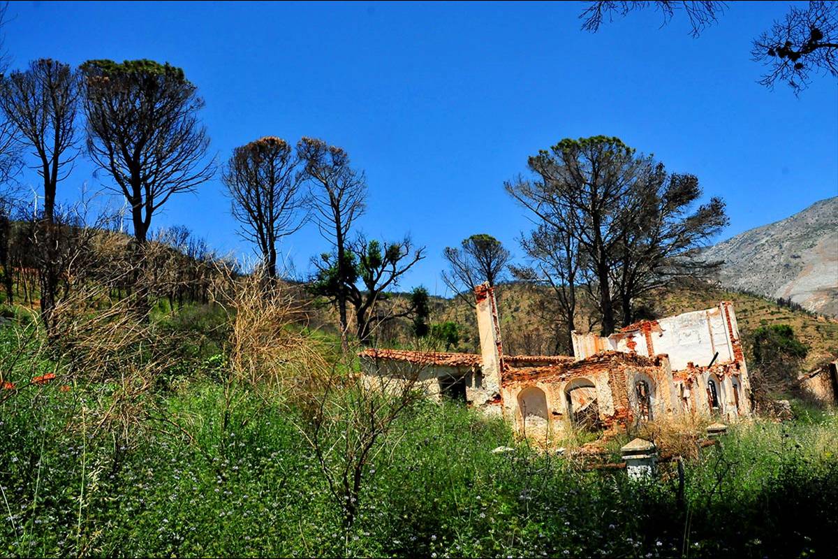 alcornocal-lujar-201617