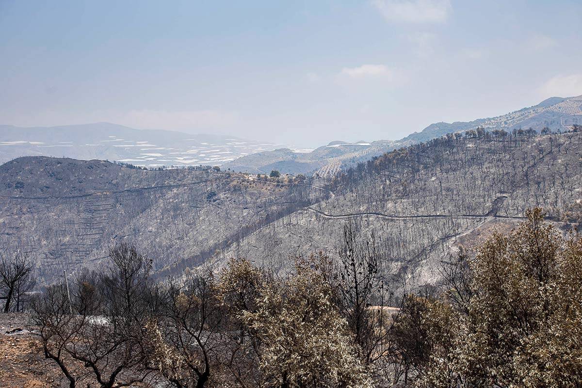 1-2-Zona_quemada-2015-tras-el-incendio