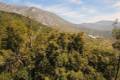 3-1-sierra-de-lujar-2015-antes-del-incendio