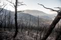 3-2-sierra-de-lujar-2015-tras-el-incendio